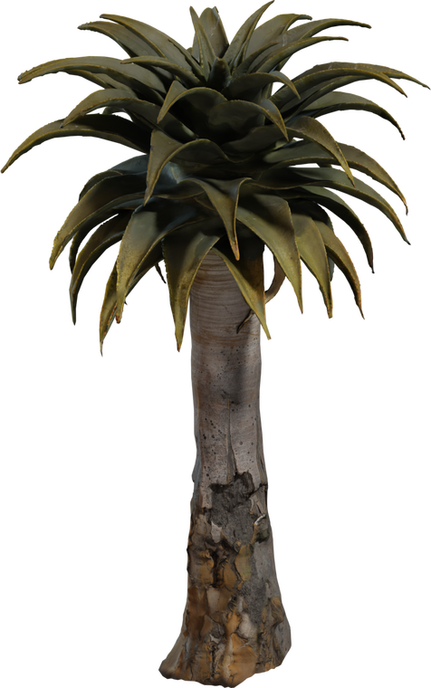 Quiver Tree 2
