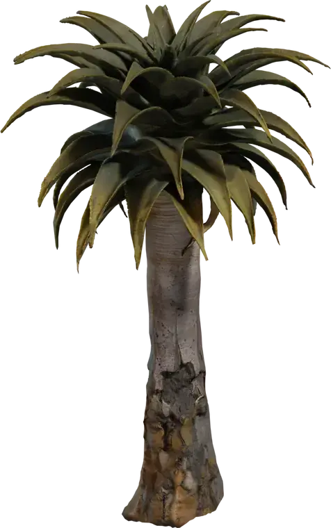 Quiver Tree 2