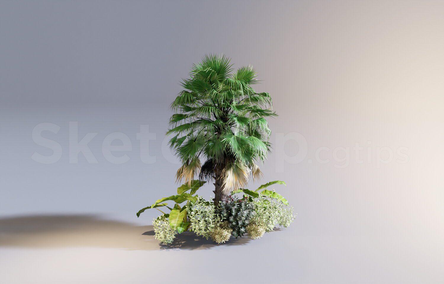 Plant