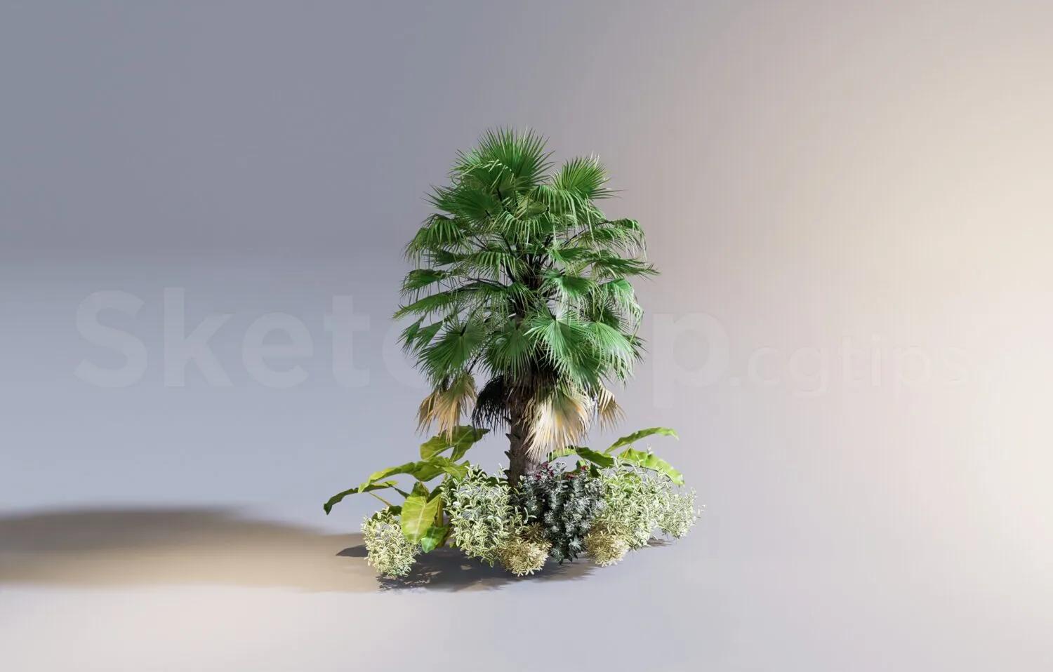 Plant