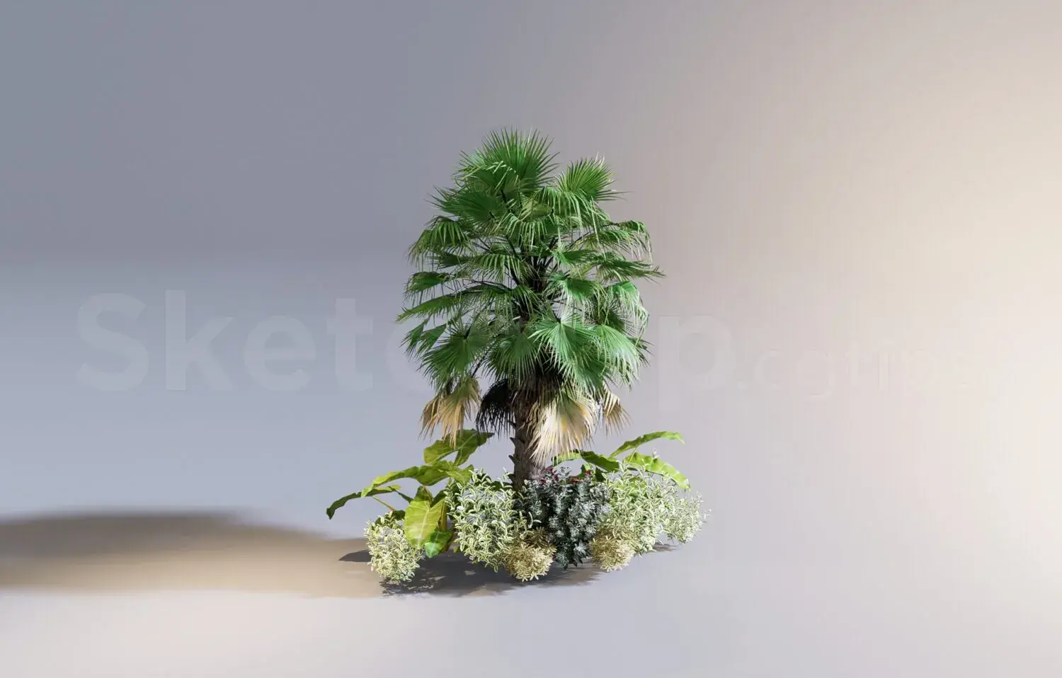 Plant