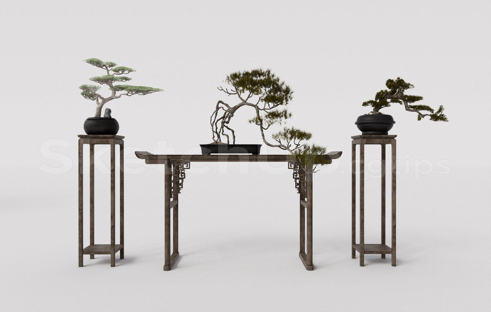 BonSai Tree — preview 1 (cgtips)