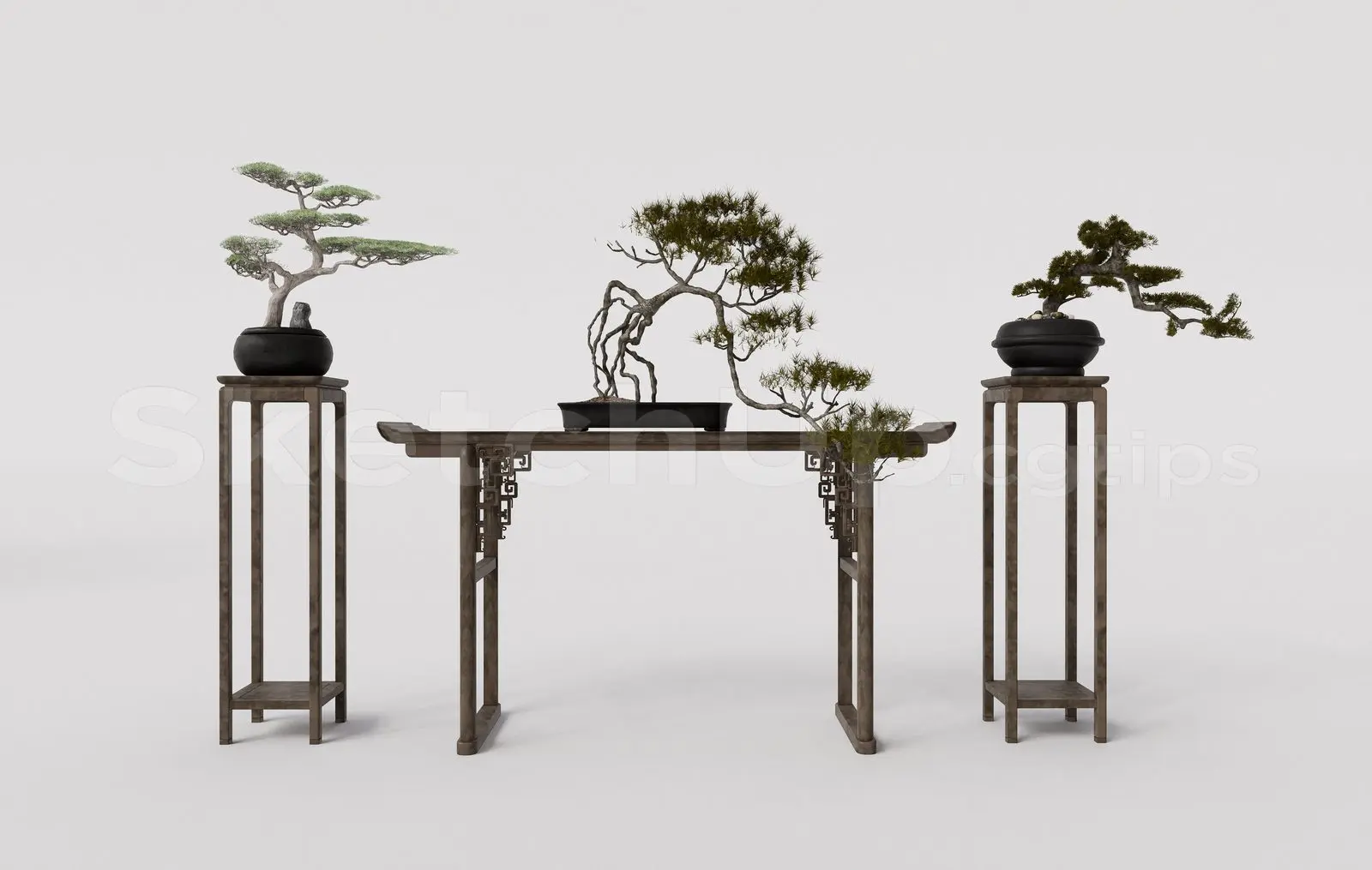 BonSai Tree