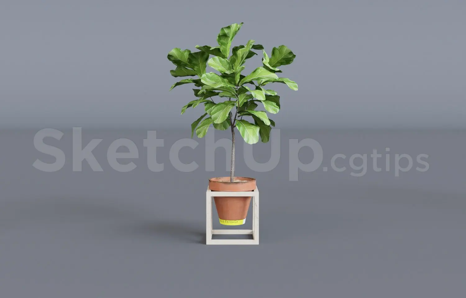 Plant — preview 1 (cgtips, CC0)