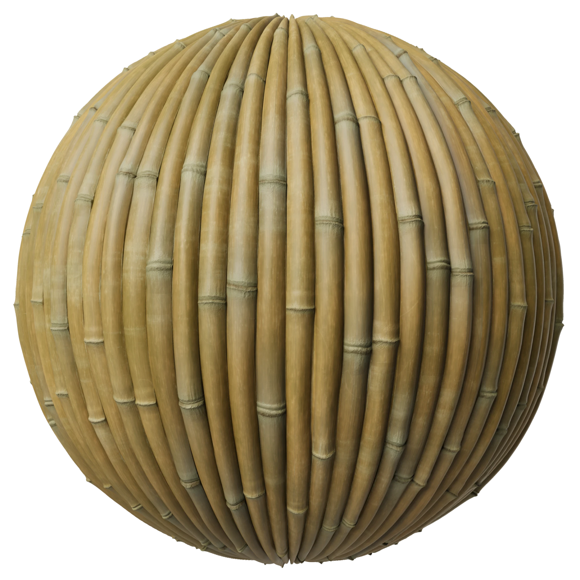 Bamboo 001 C