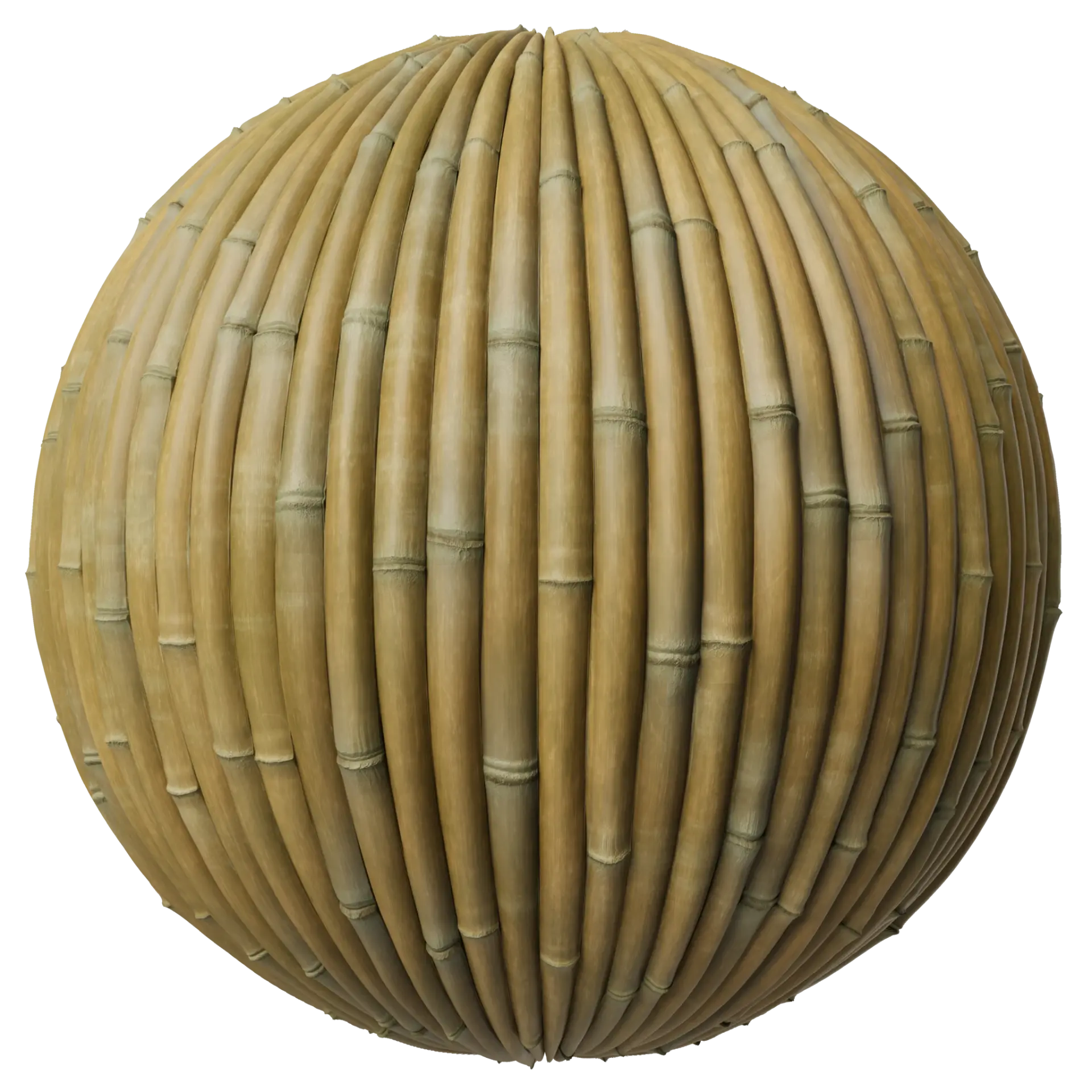 Bamboo 001 C