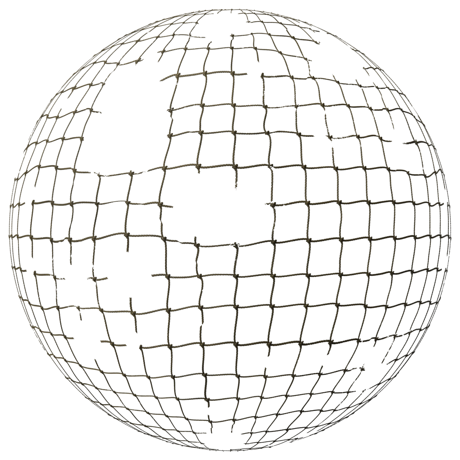 Net 001 B