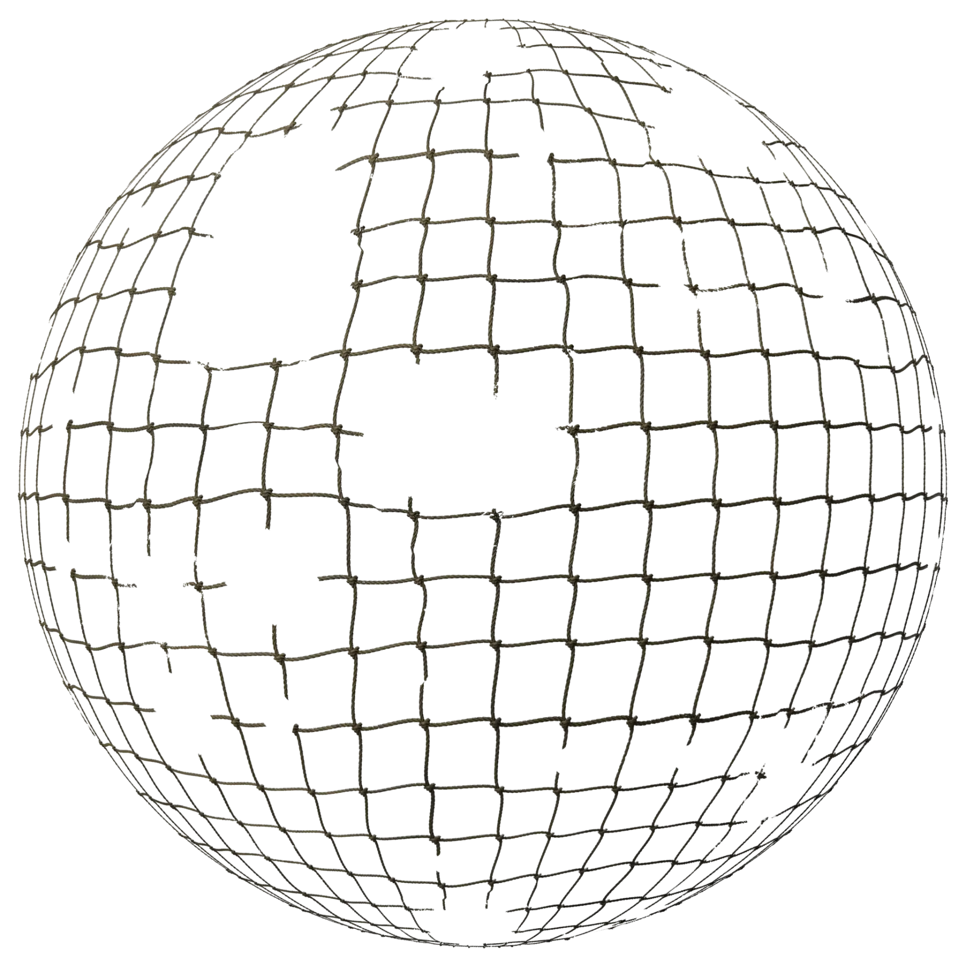 Net 001 B