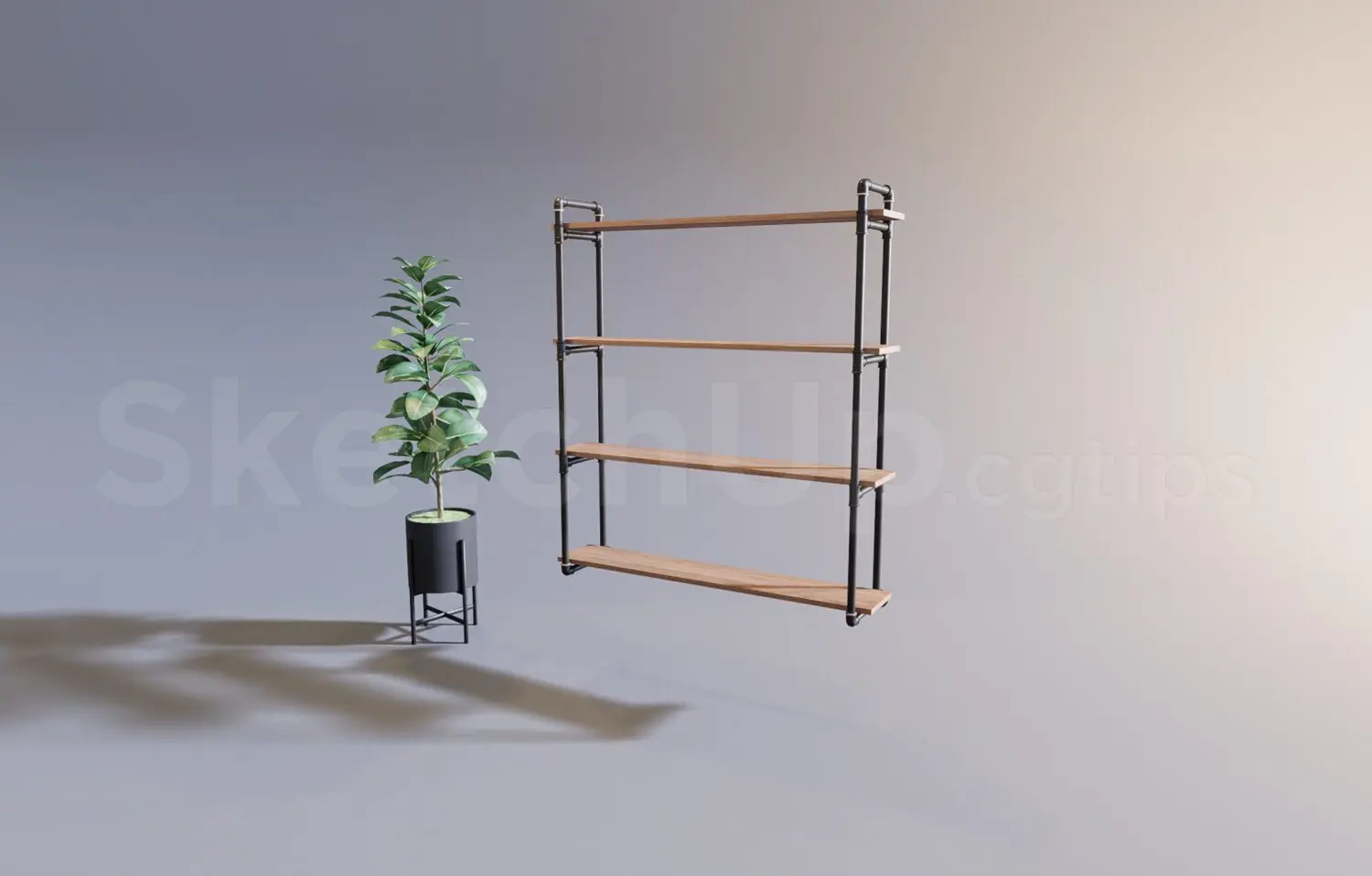 Decorative Shelves