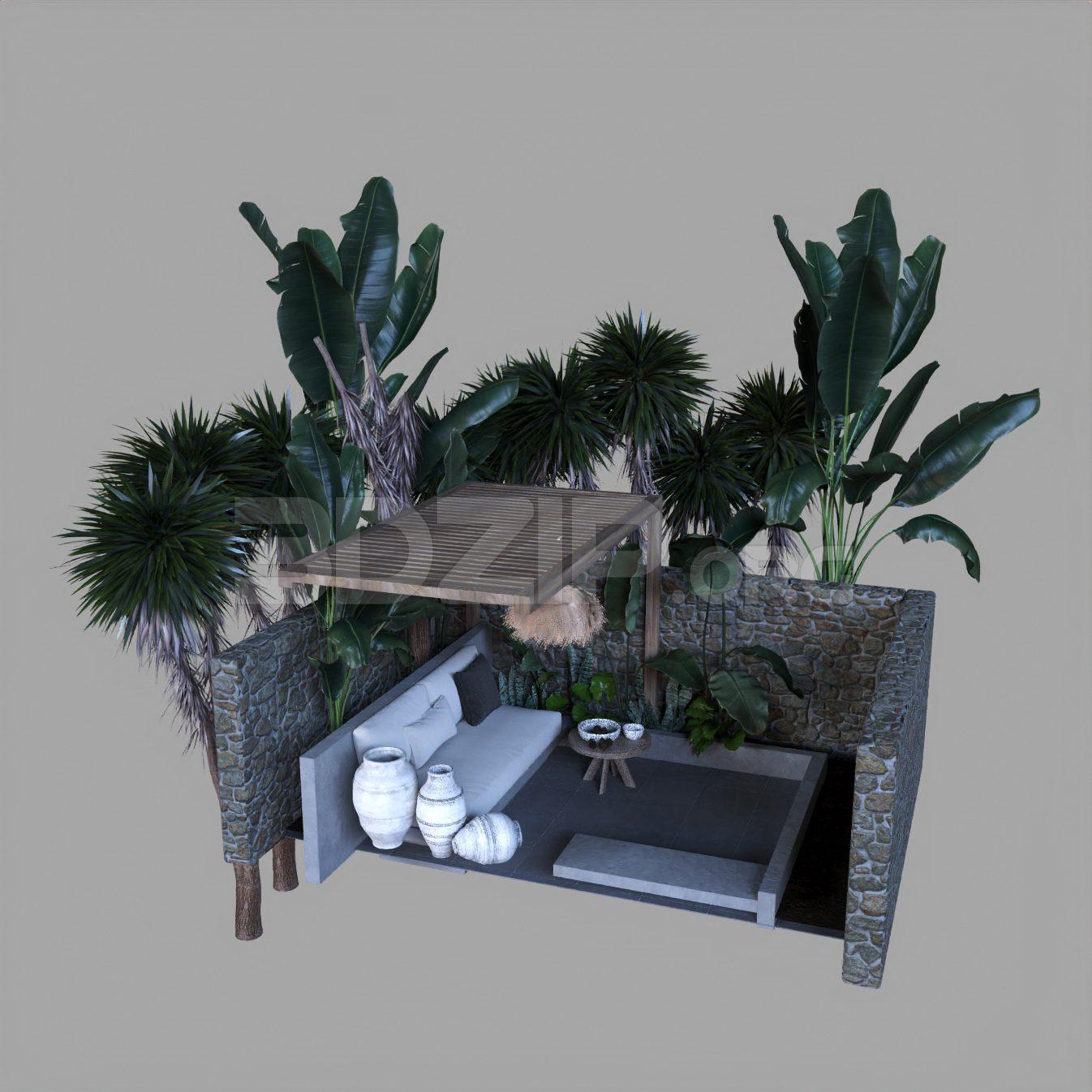 Plant