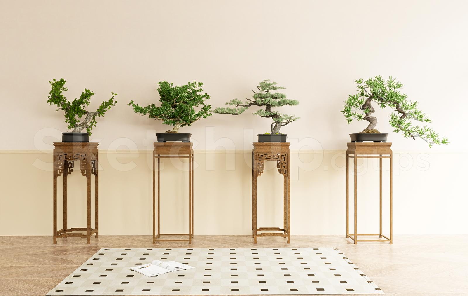 Japanese Style Bonsai Interior SketchUp Model – Modern Zen Decor