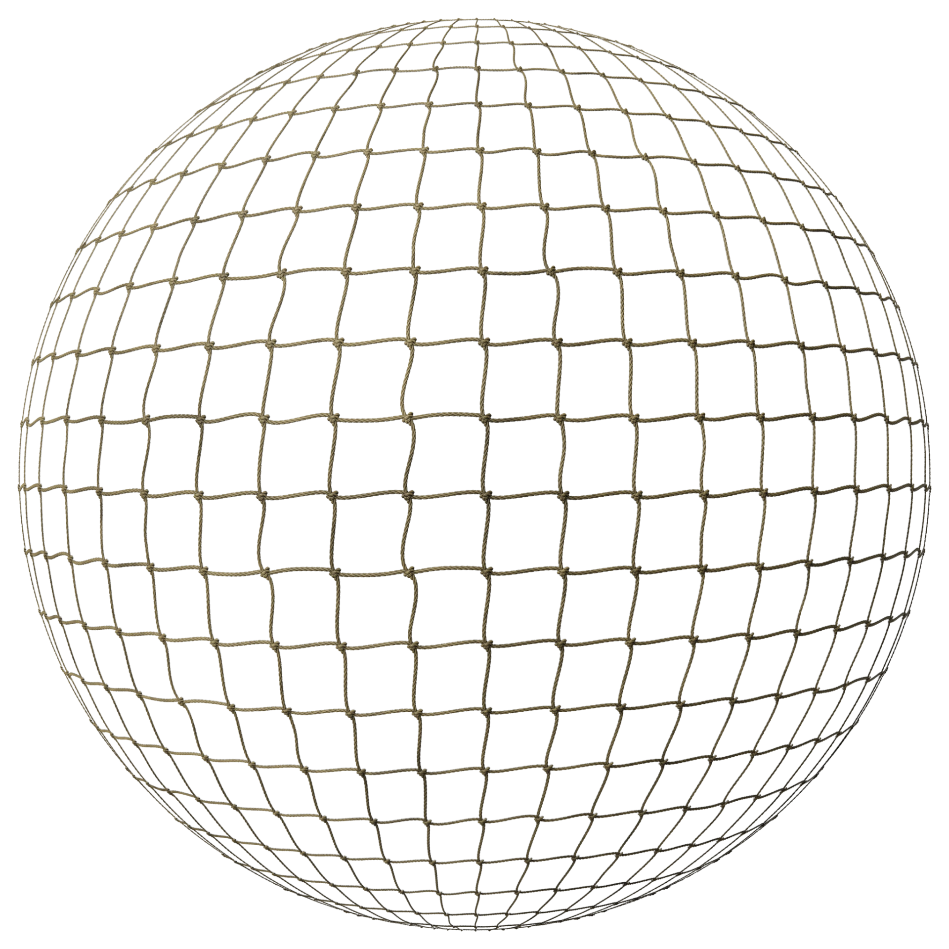 Net 001 A