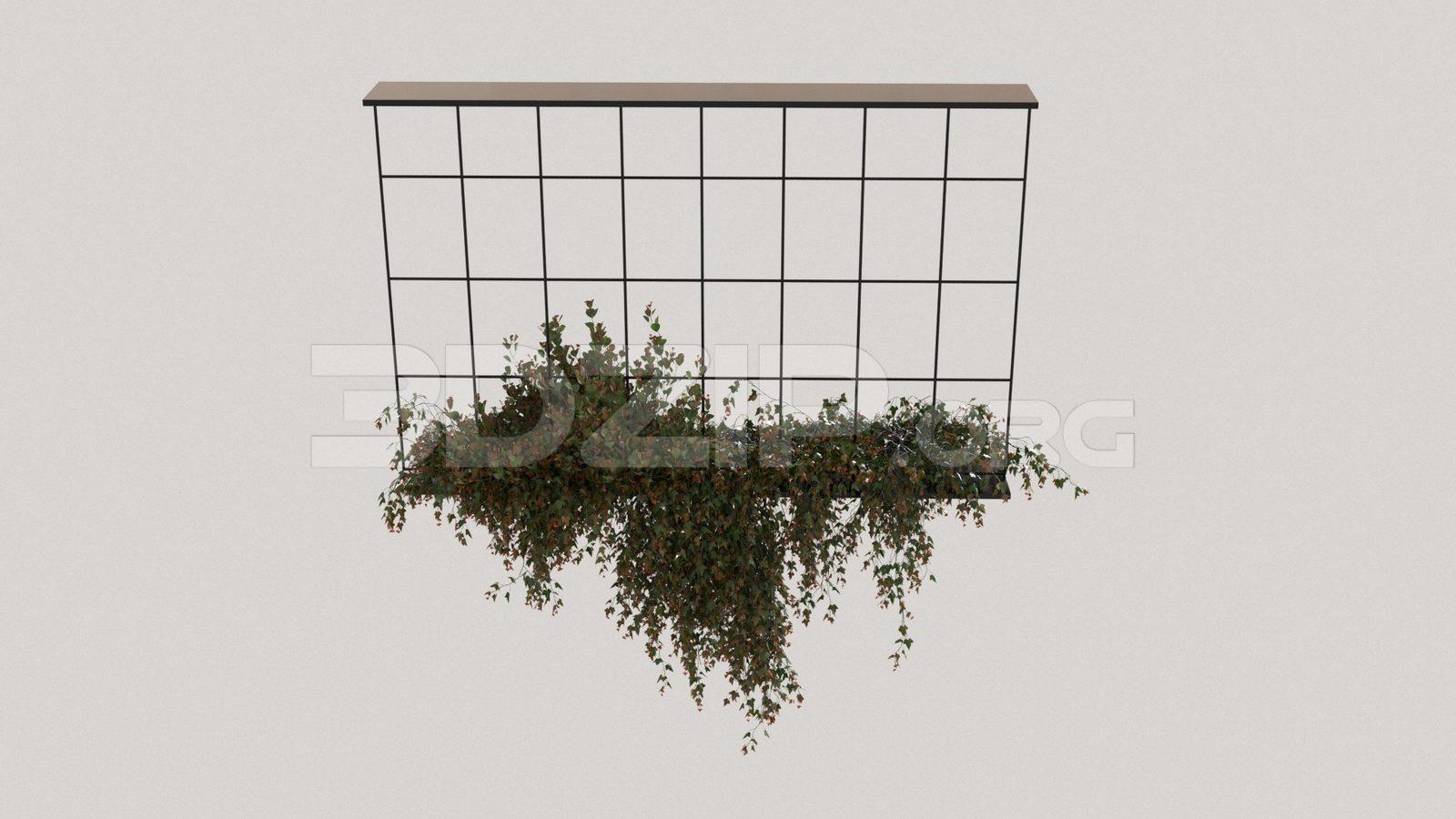 Plant