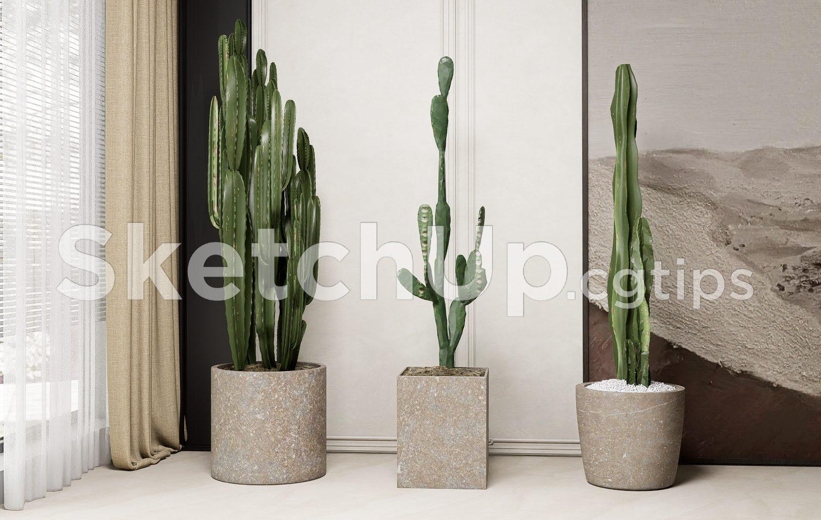 Plant