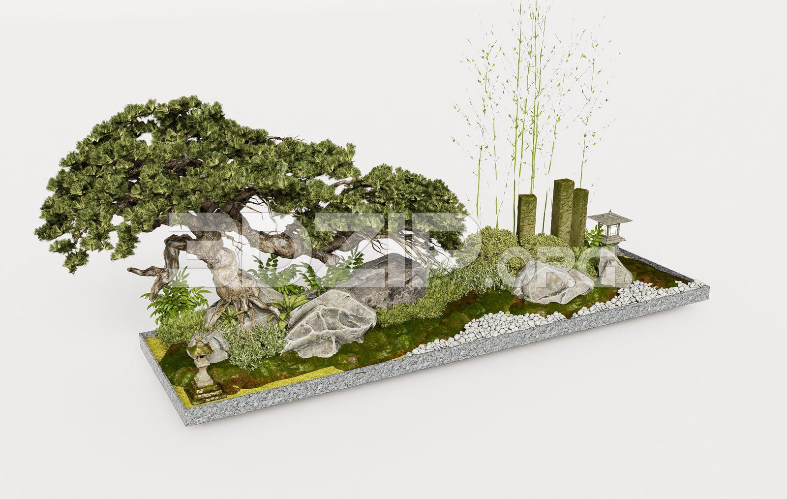 Japanese Garden Design – Artistic Bonsai, Rock Garden & Moss Ground