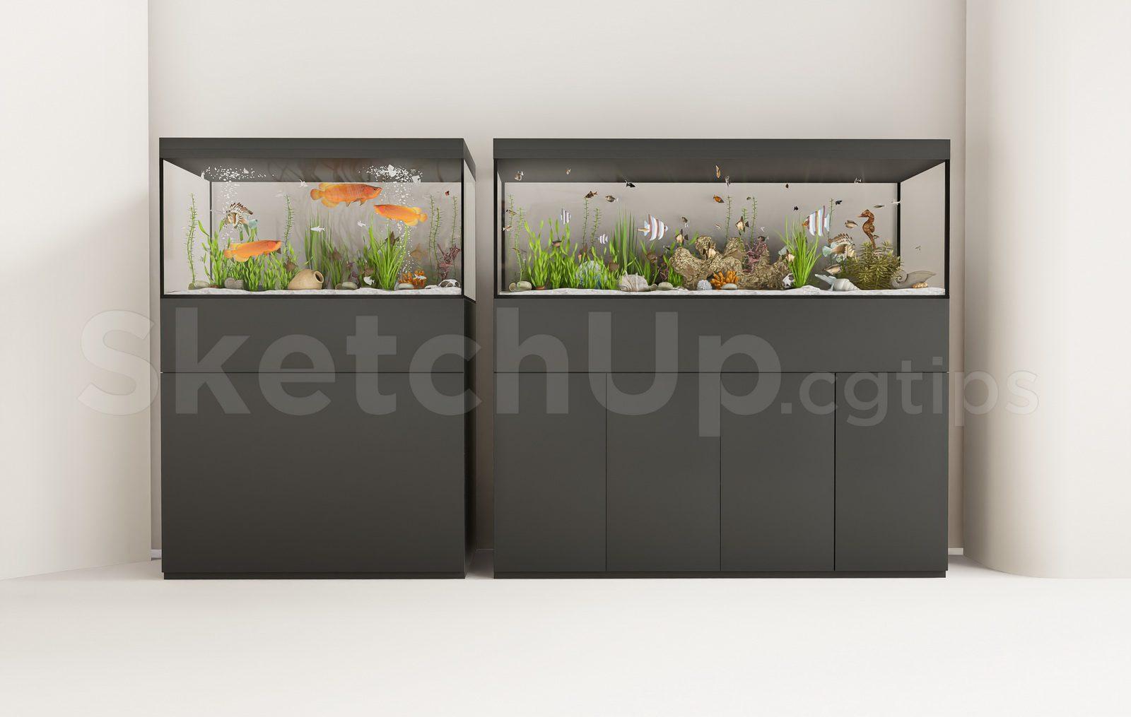 Aquarium Tank
