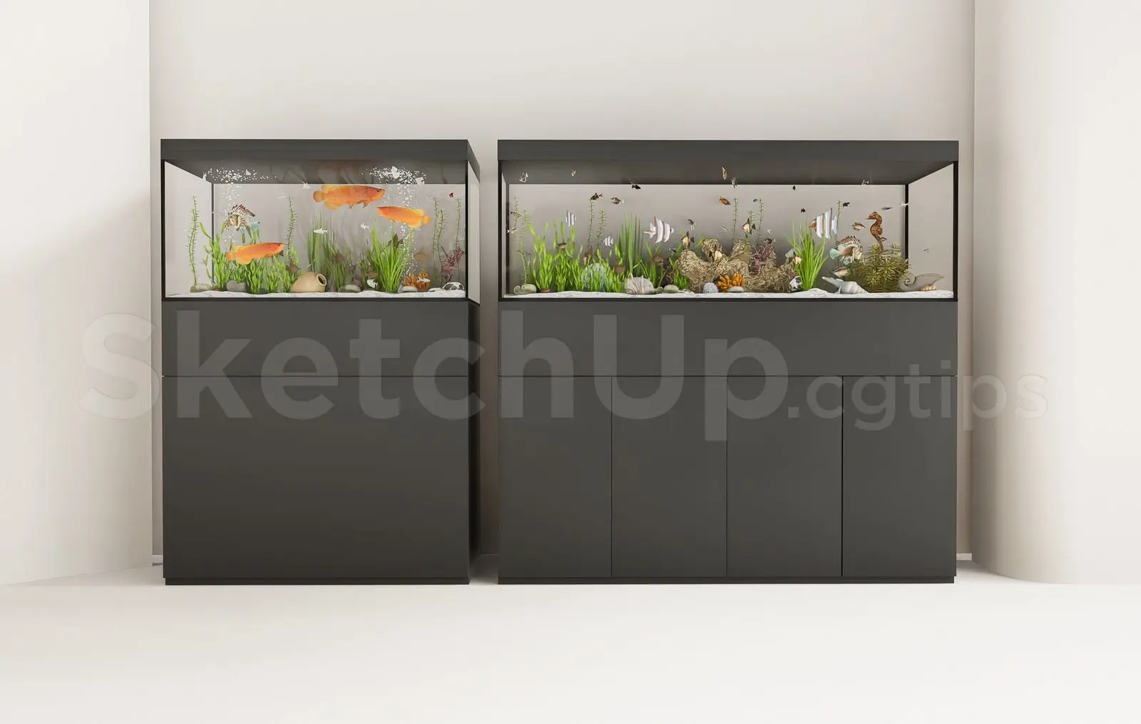 Aquarium Tank