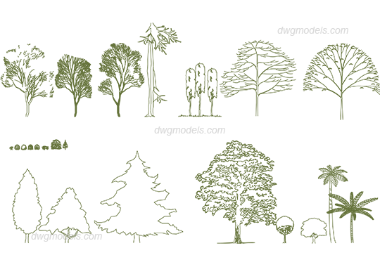 Trees 3