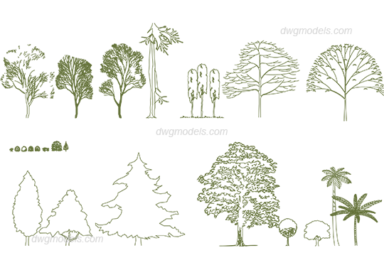 Trees 3