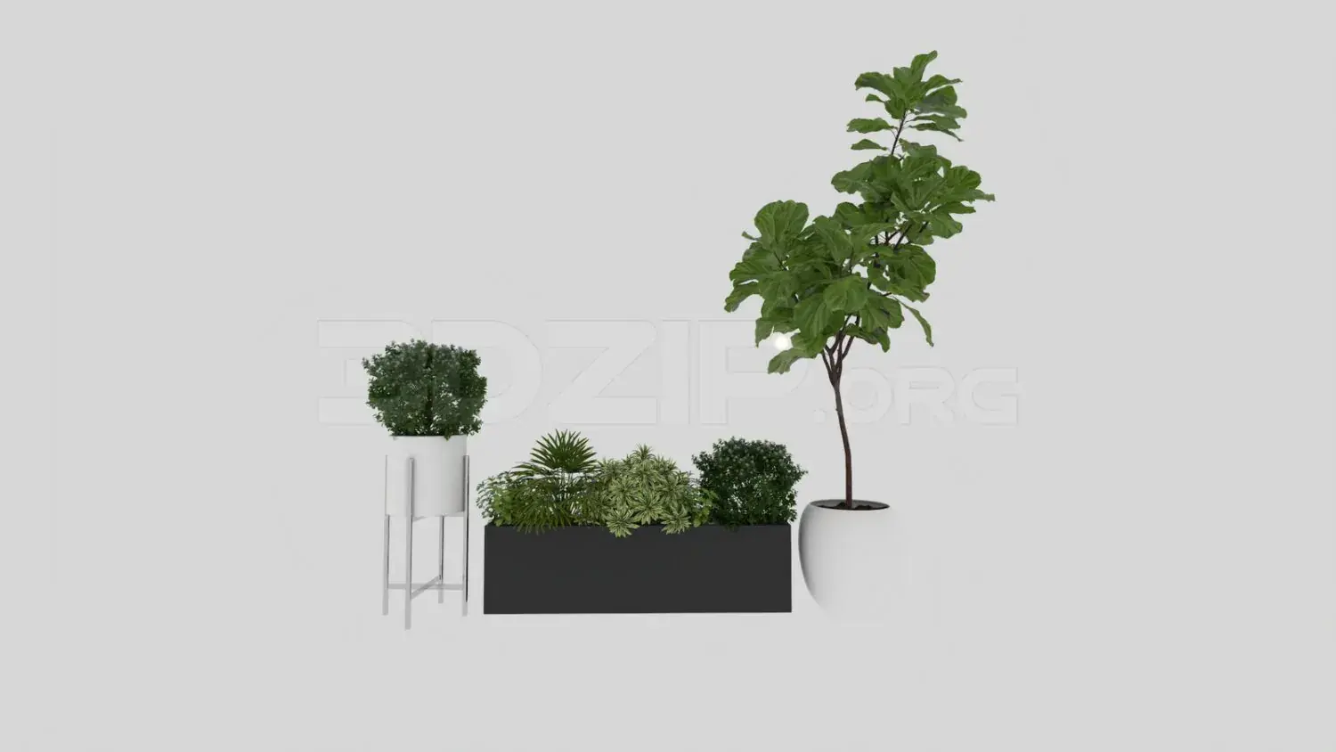 Plant