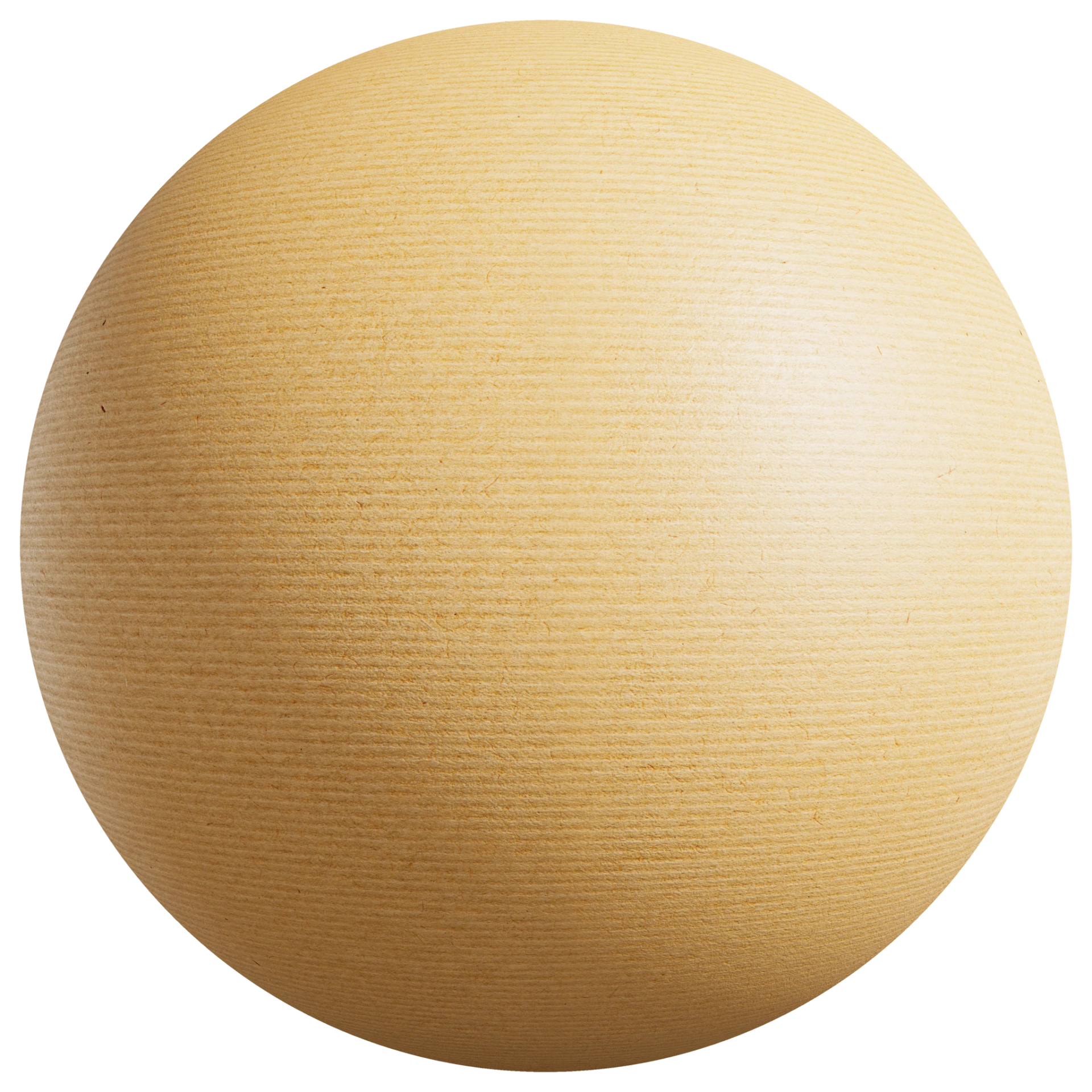 Paper 004