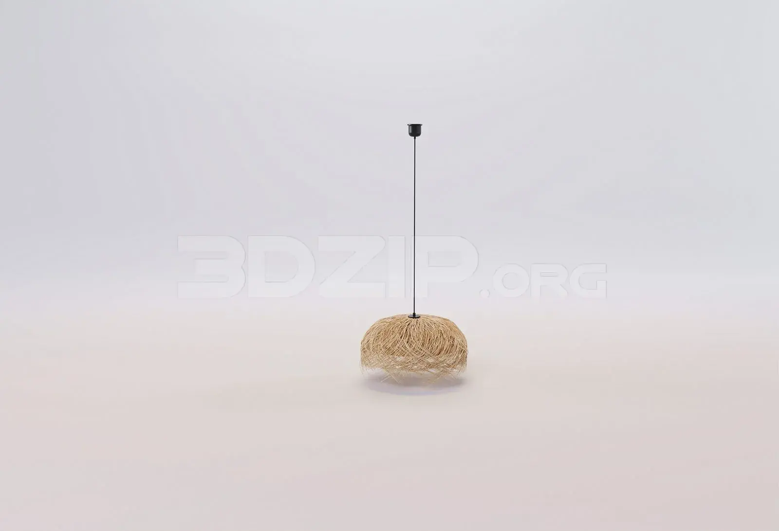 Ceiling Light