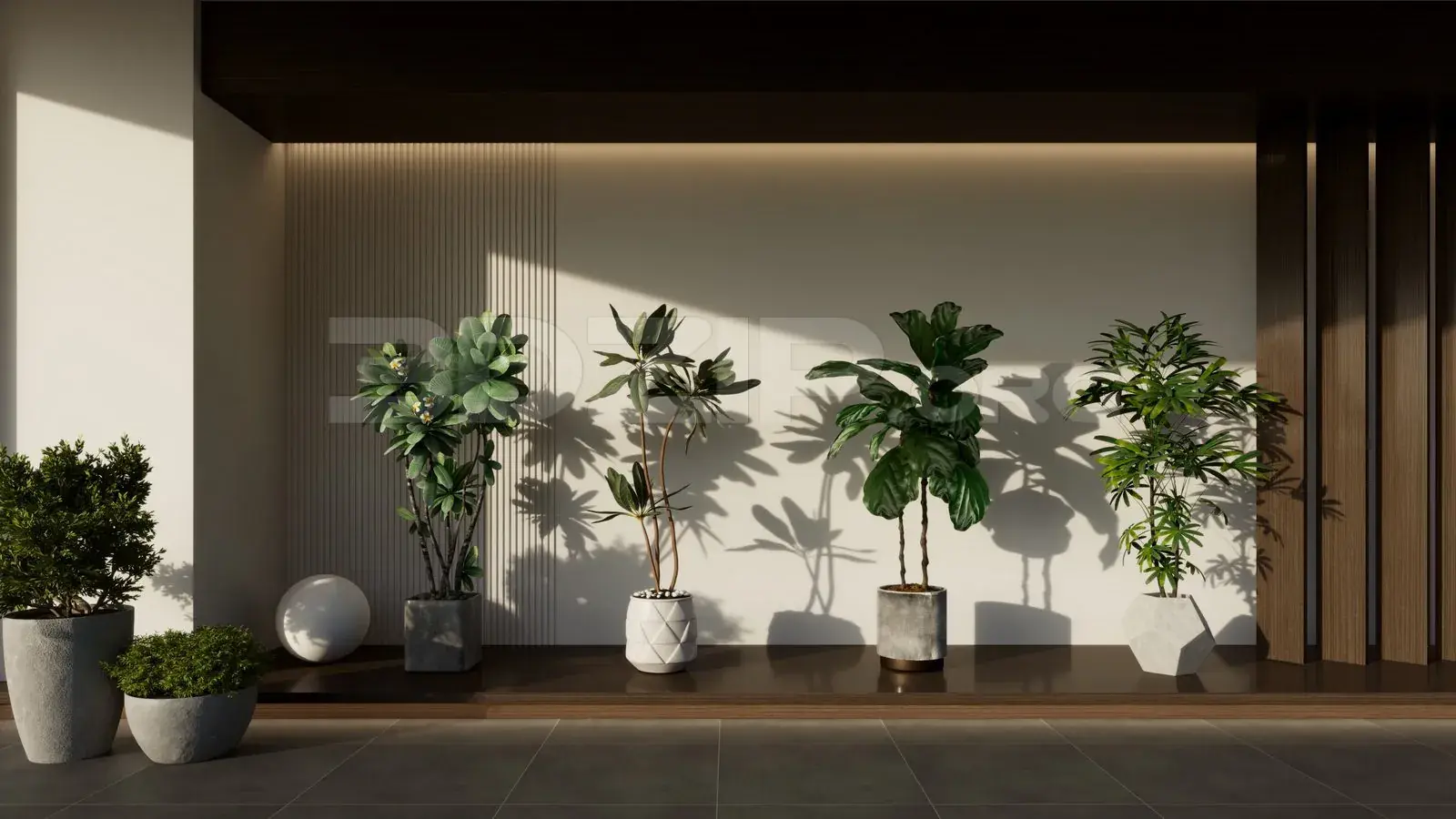 Plants