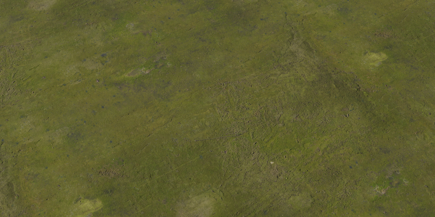 Concrete Moss