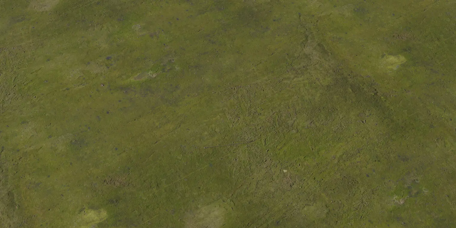 Concrete Moss