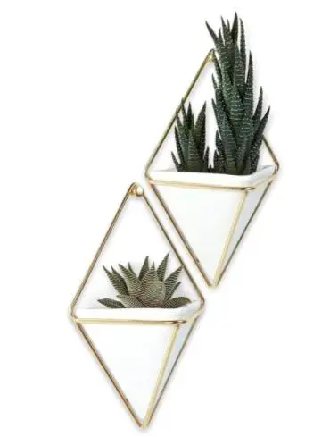Umbra Frigg Planter - Amazon