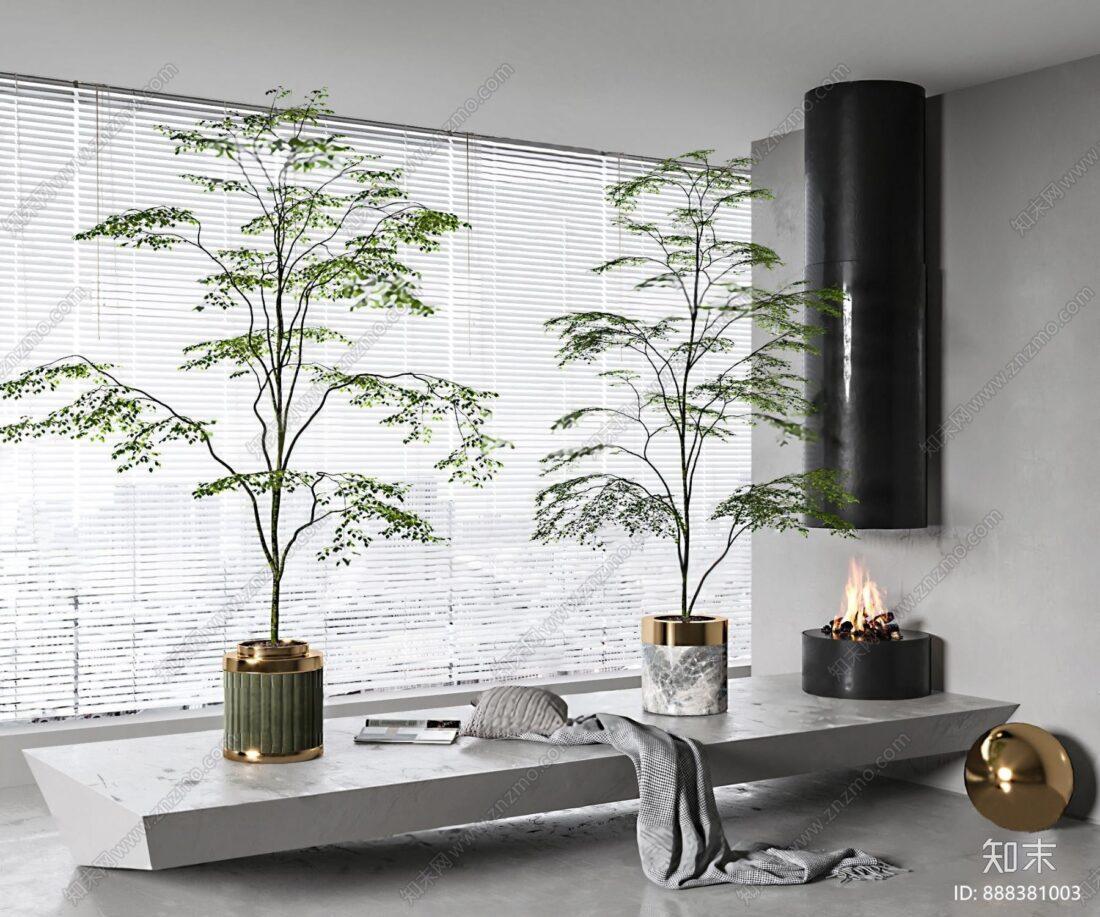 Tree Plant Model 413