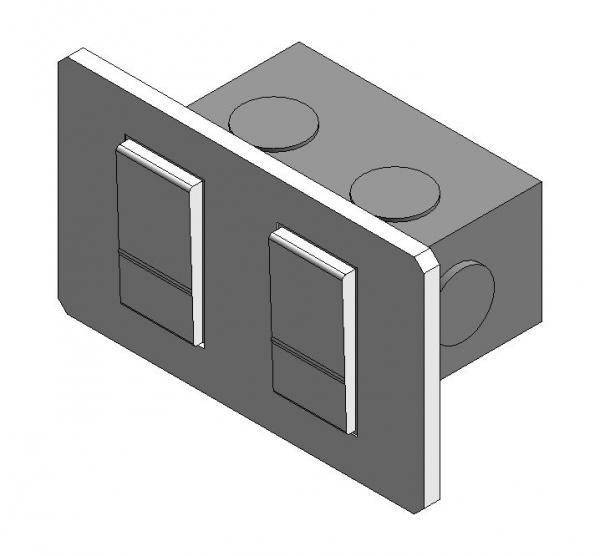2-Gang Single Pole Switch