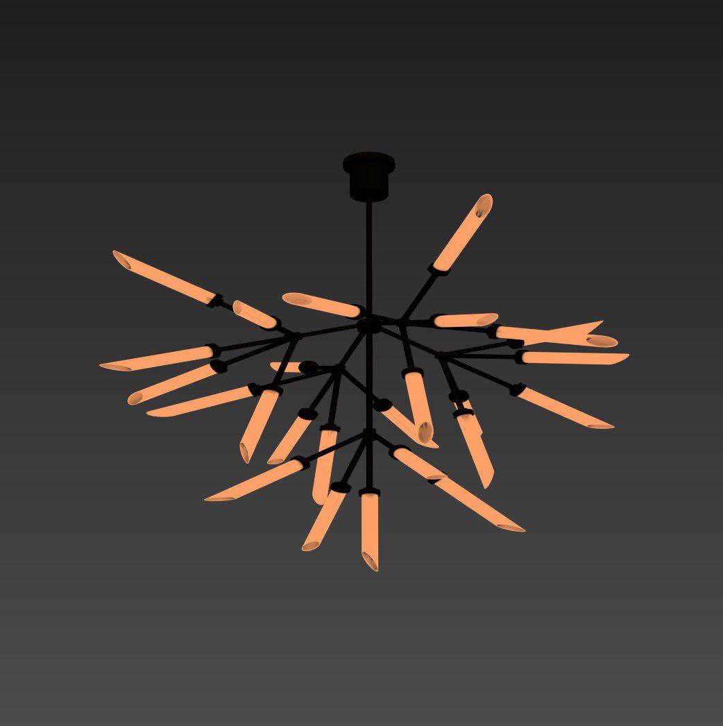 Ceiling Light