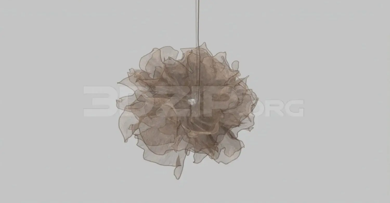 Ceiling Light