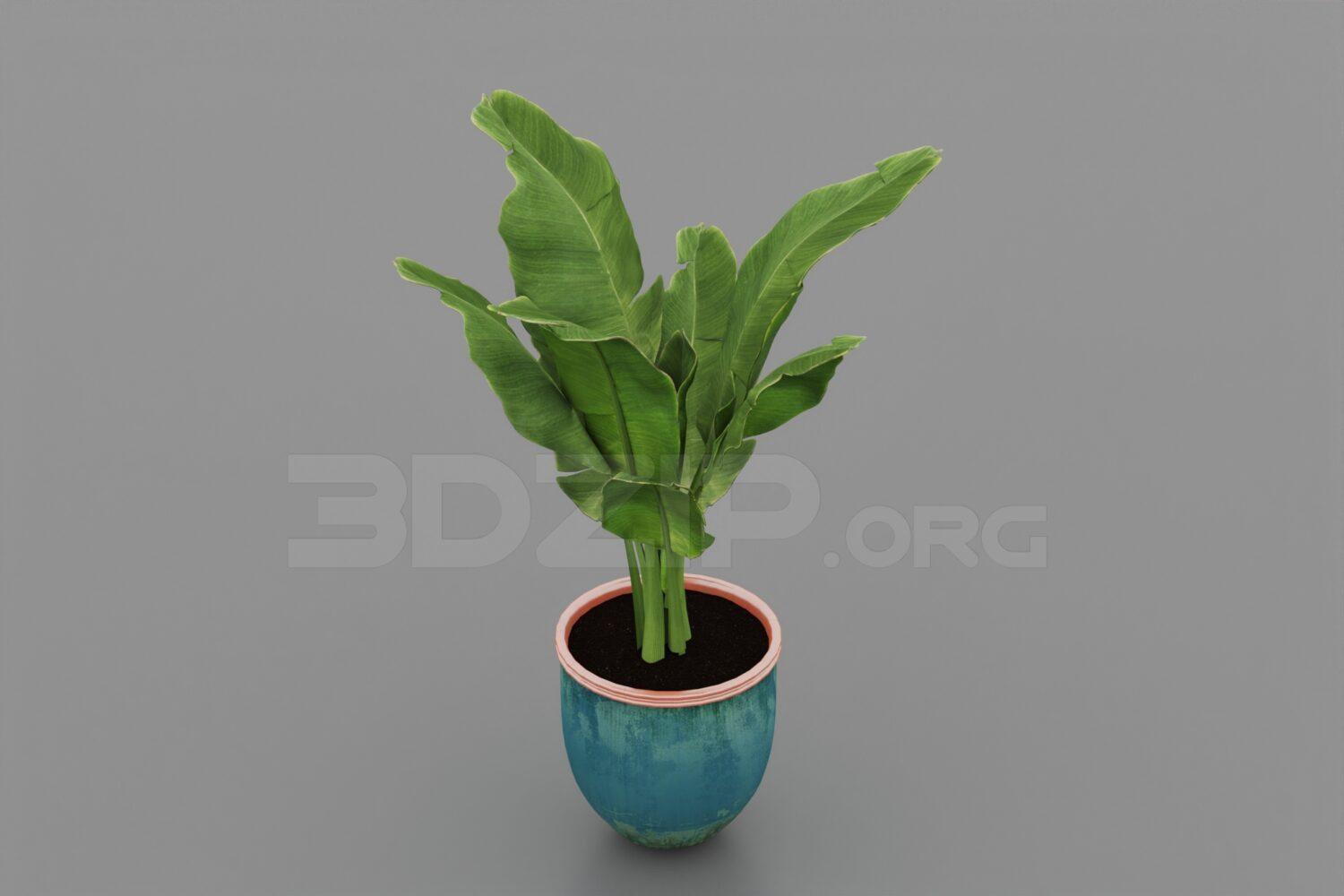 Plant