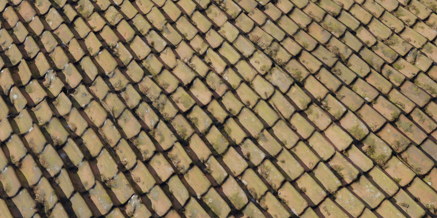 Roof 3