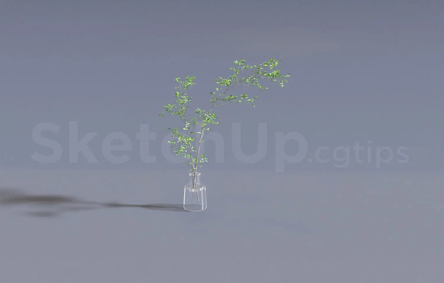 Plant — preview 1 (cgtips, CC0)