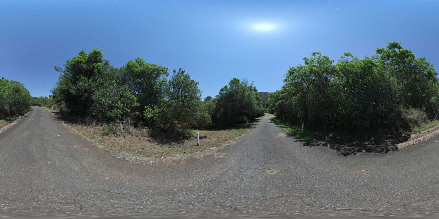 Narrow Moonlit Road