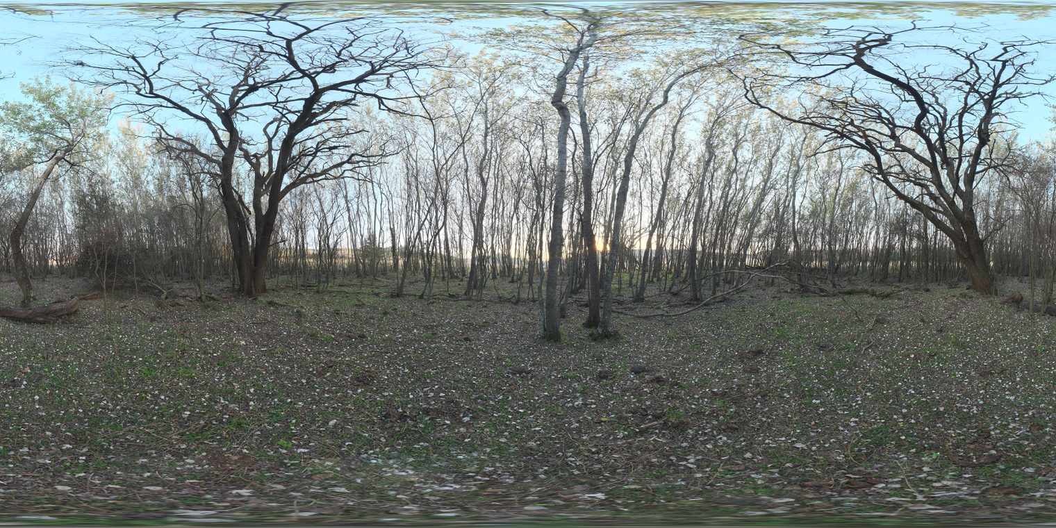 Forest Grove