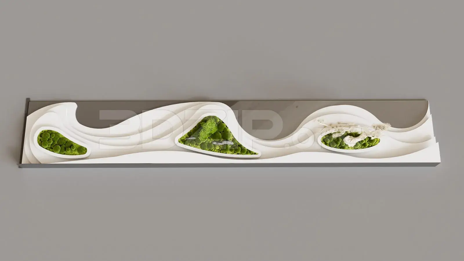 Decorative Plant Set