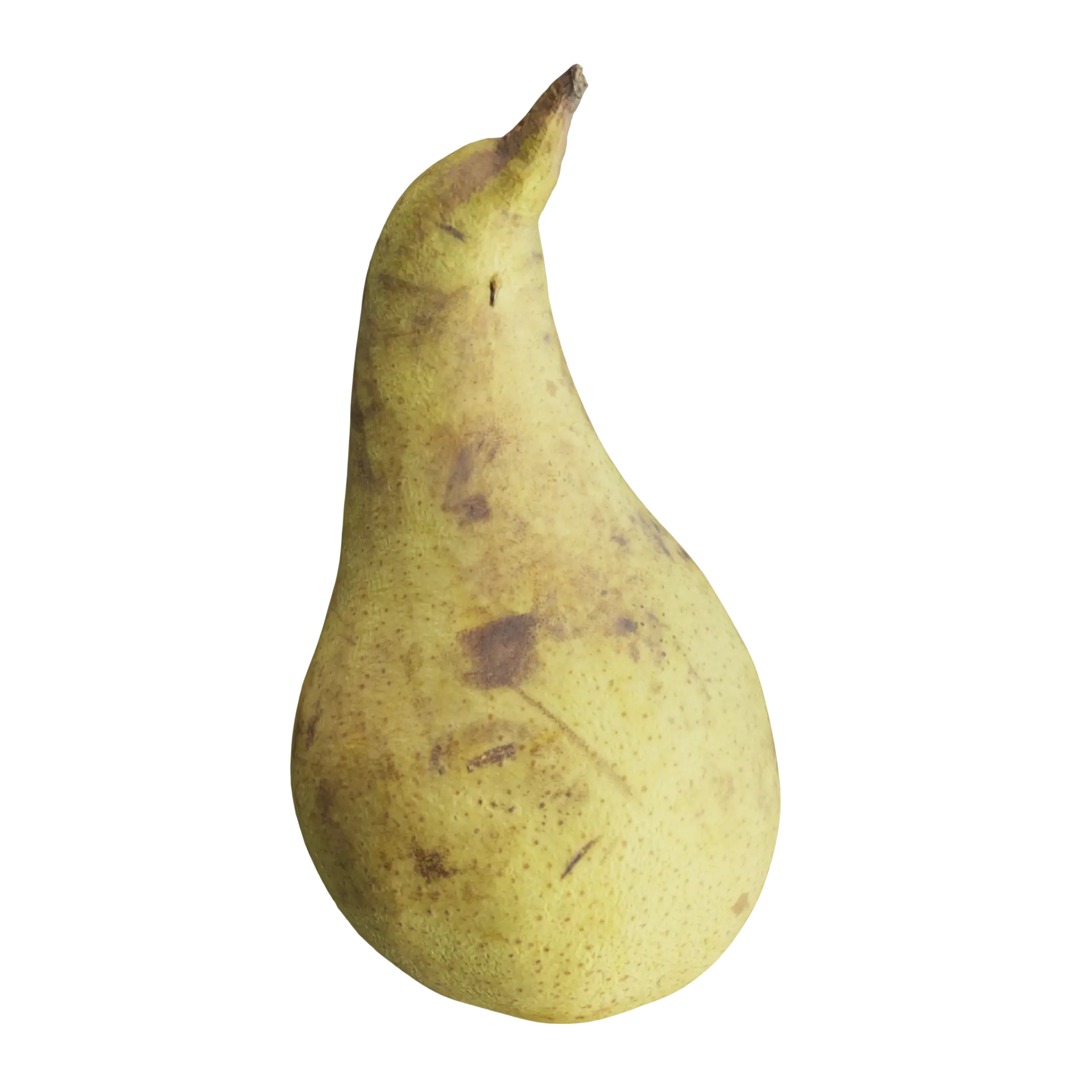 3D Pear 002