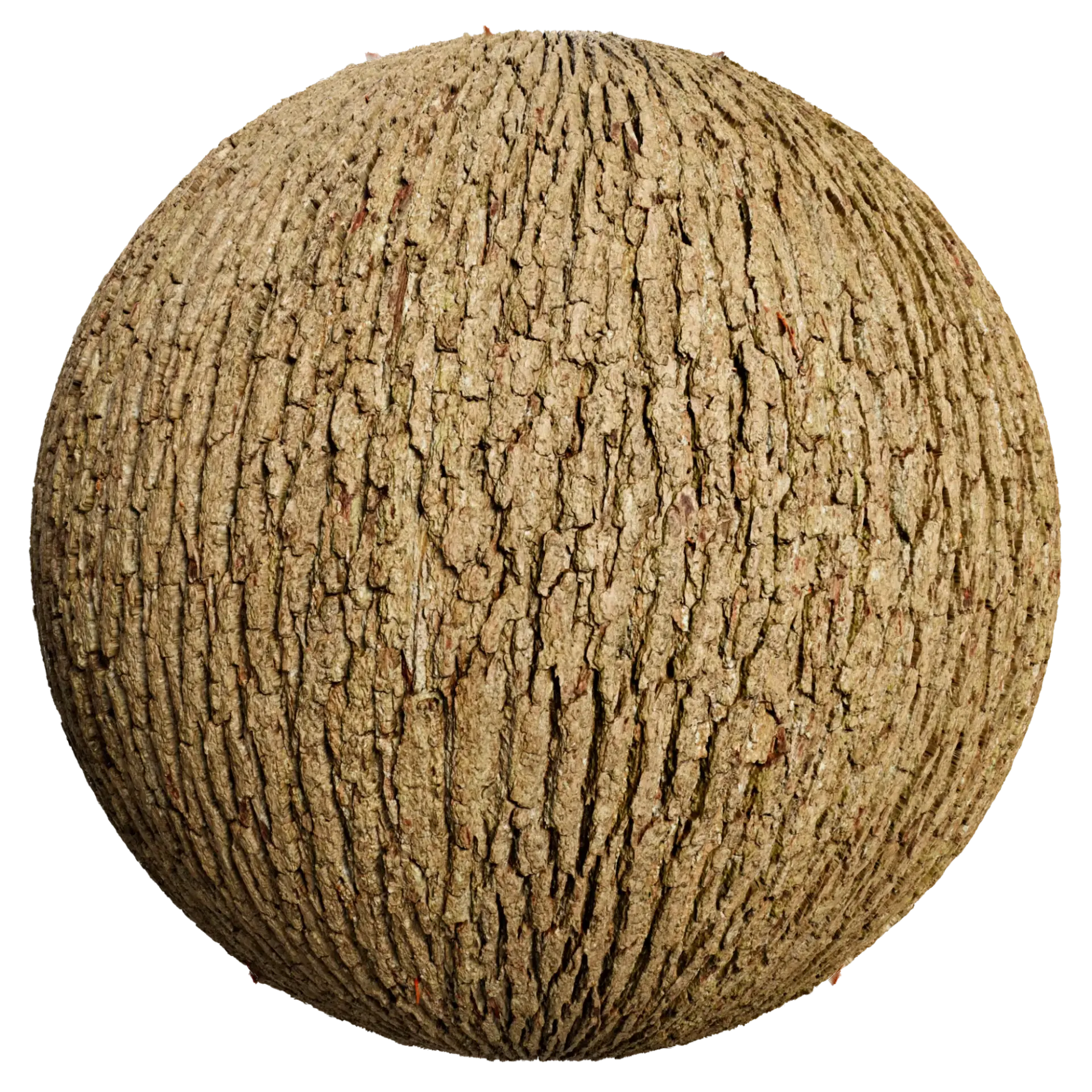 Bark 012