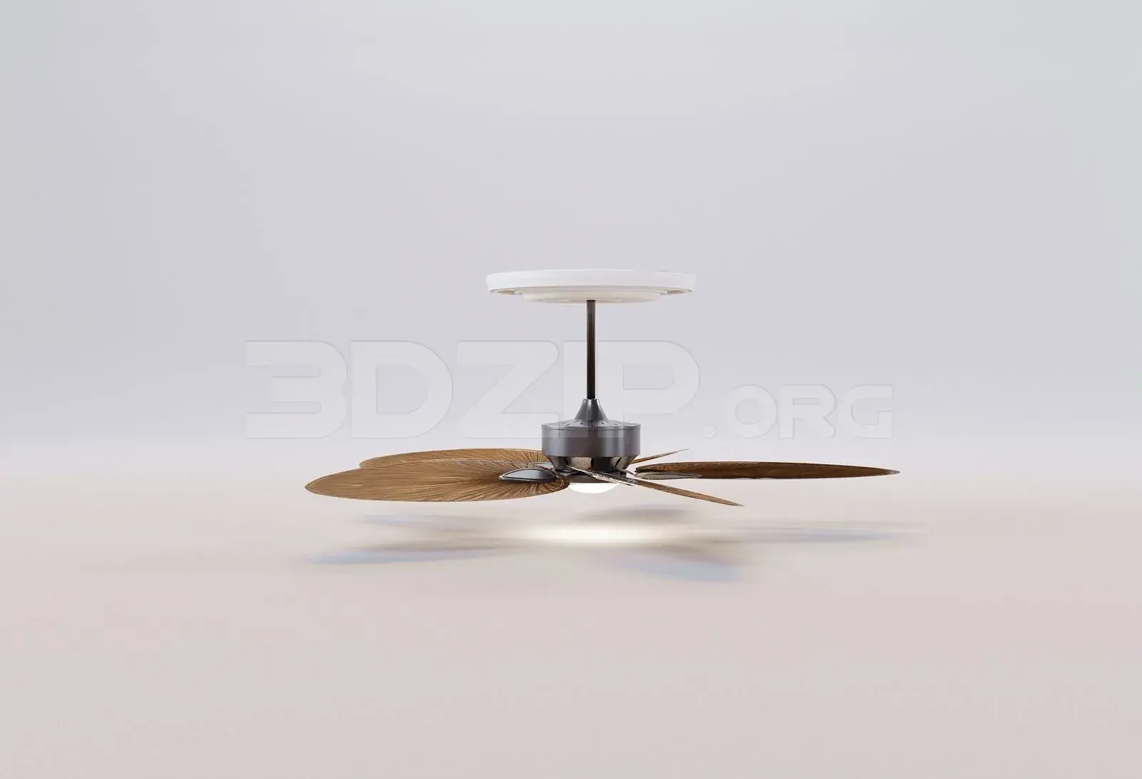 Ceiling Fans