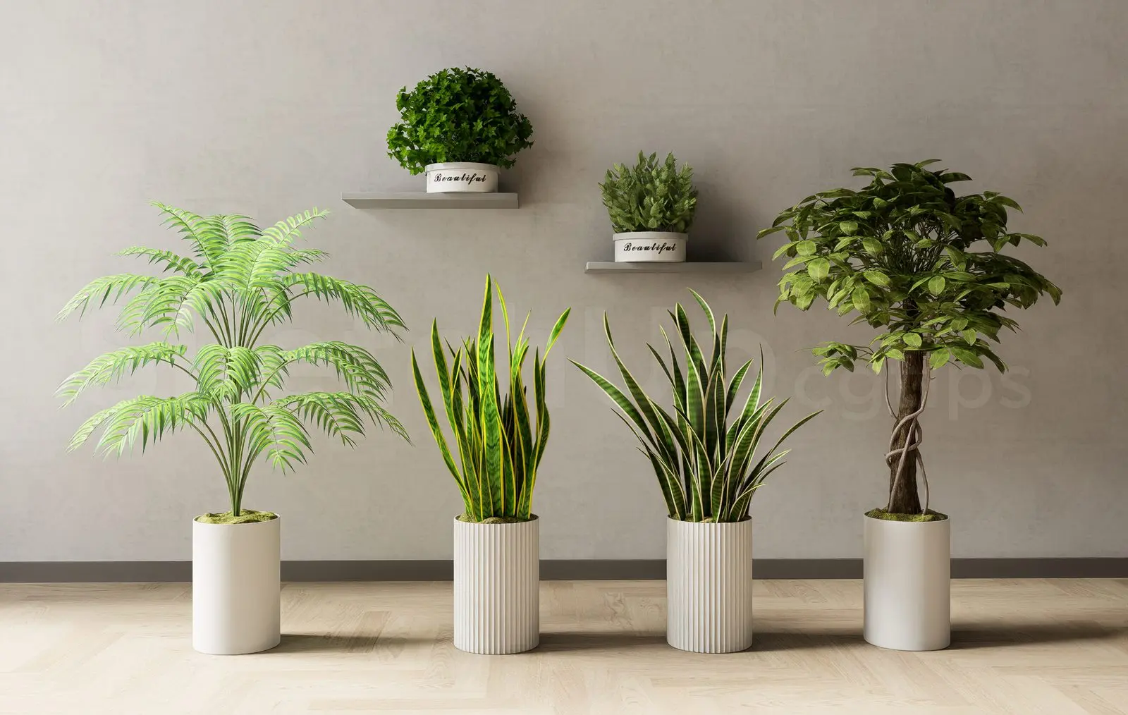 Plant