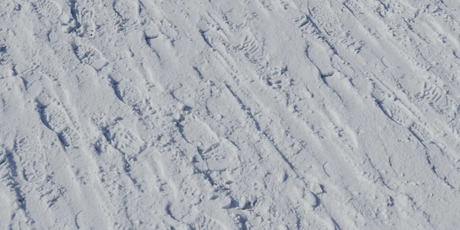 Snow 1