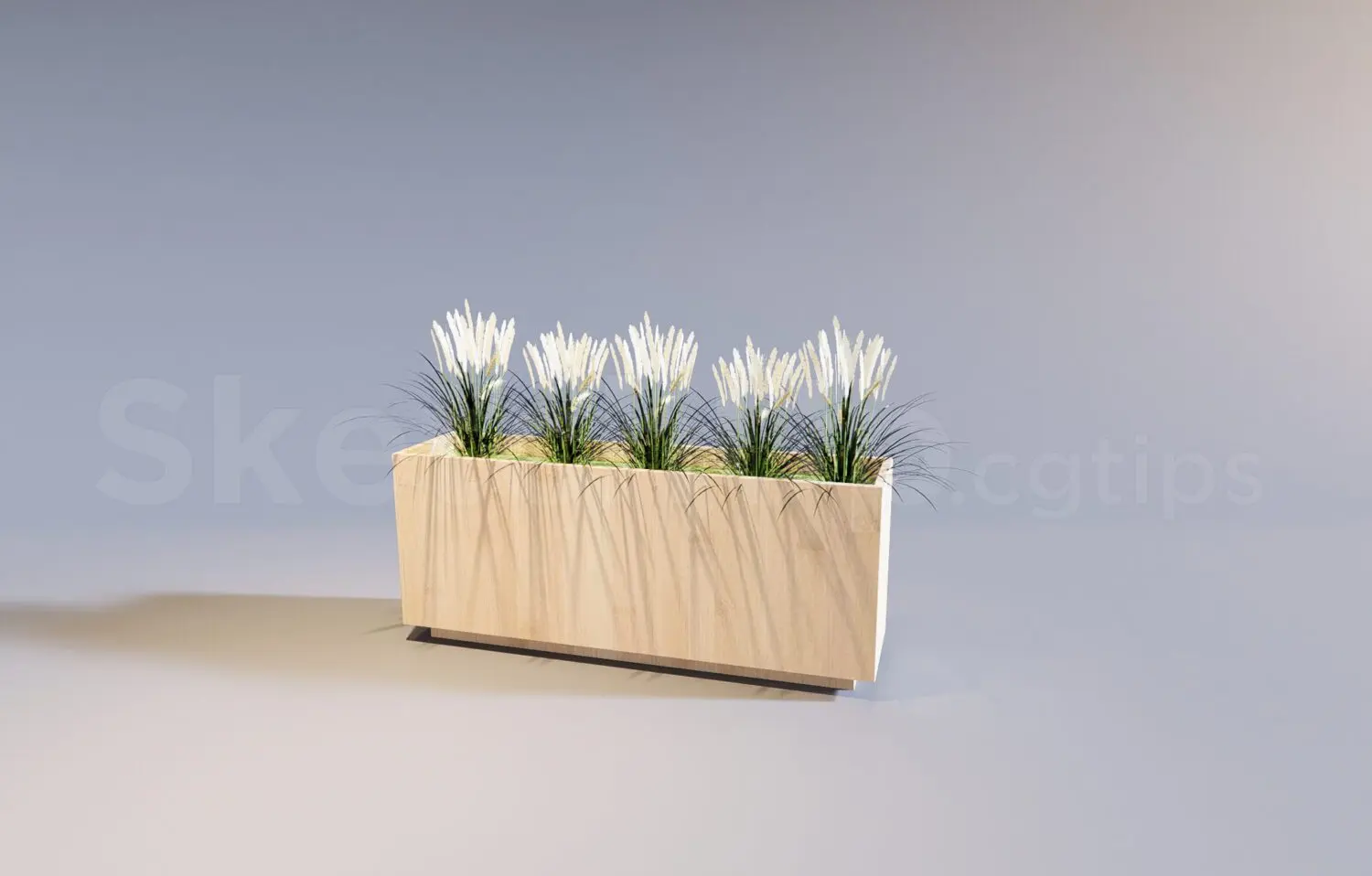 Plant