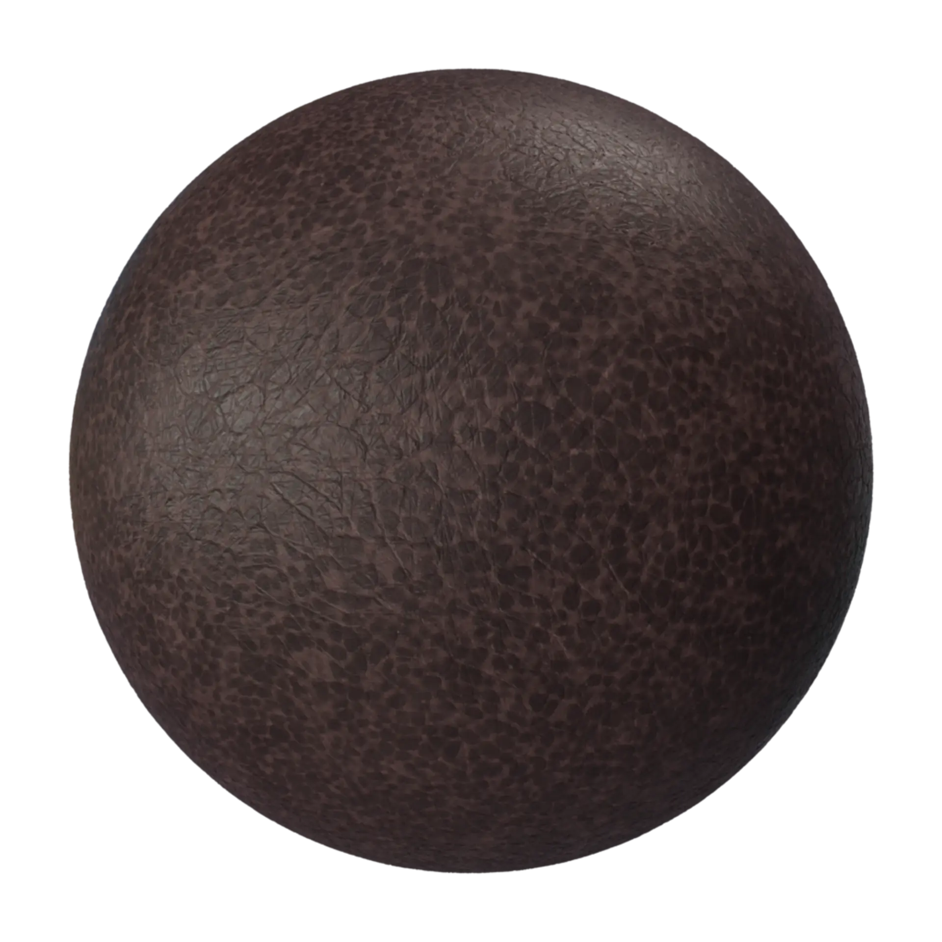 Leather 021