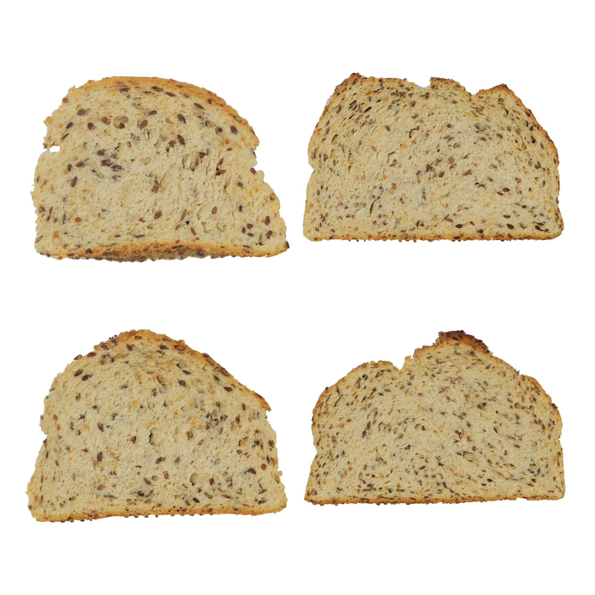 Food Cross Section Set 005