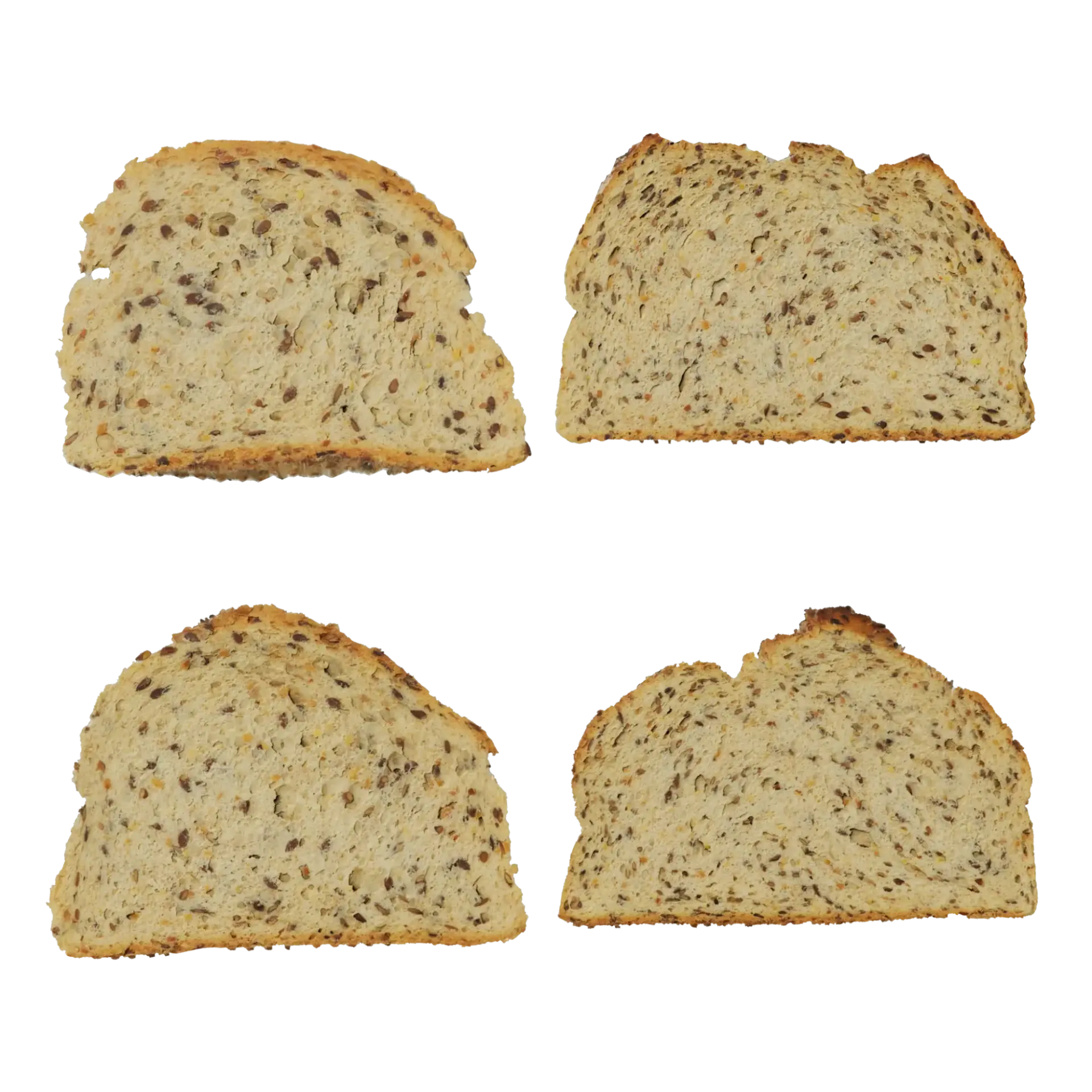 Food Cross Section Set 005