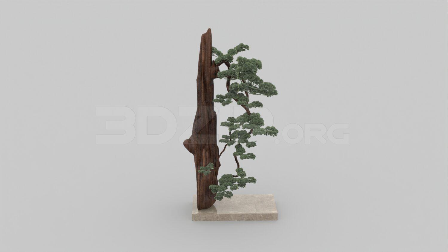 Bonsai